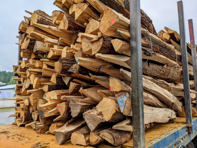 Ein großer Stapel unsortierter Holzlatten und Baumstämme auf einem Lastwagen, teilweise markiert mit bunten Farbflecken, unter freiem Himmel.