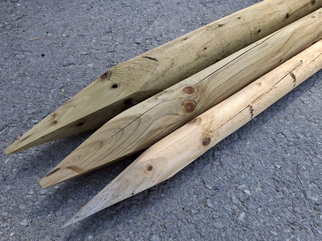 Drei spitze Holzpfähle liegen auf einer Asphaltoberfläche, die Holzmaserung ist deutlich sichtbar, und die Pfähle weisen einige Astknoten auf.