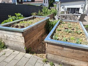 Zwei Hochbeete aus Holz mit Metallrahmen stehen auf einer Terrasse, gefüllt mit verschiedenen Pflanzen und Mulch. Im Hintergrund ist ein Garten mit weiteren Pflanzen sowie ein Haus mit Terrasse und Gartenmöbeln zu sehen.