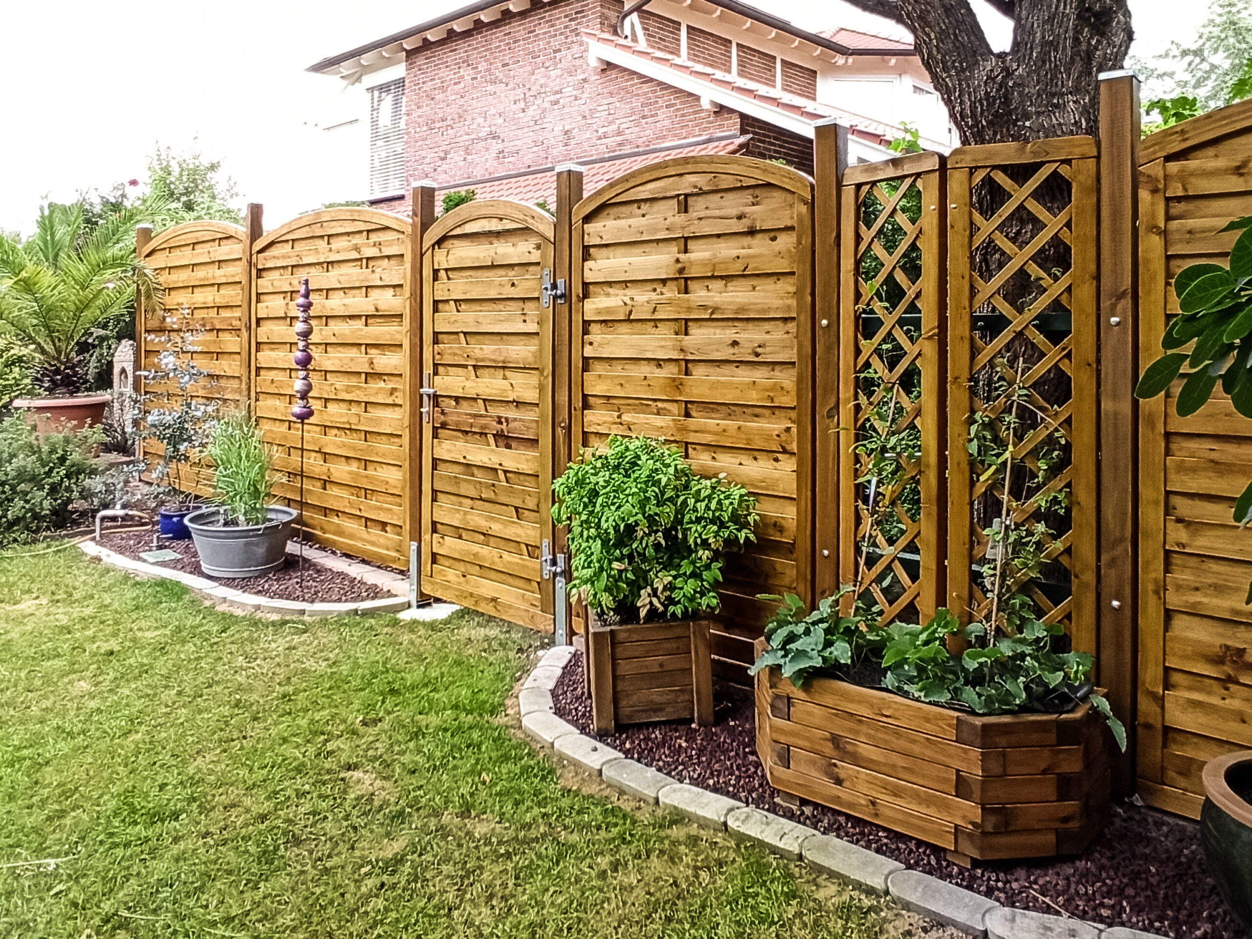 Holzzaun im Garten mit Pflanzenkübeln und Ranken an einem Klettergitter.