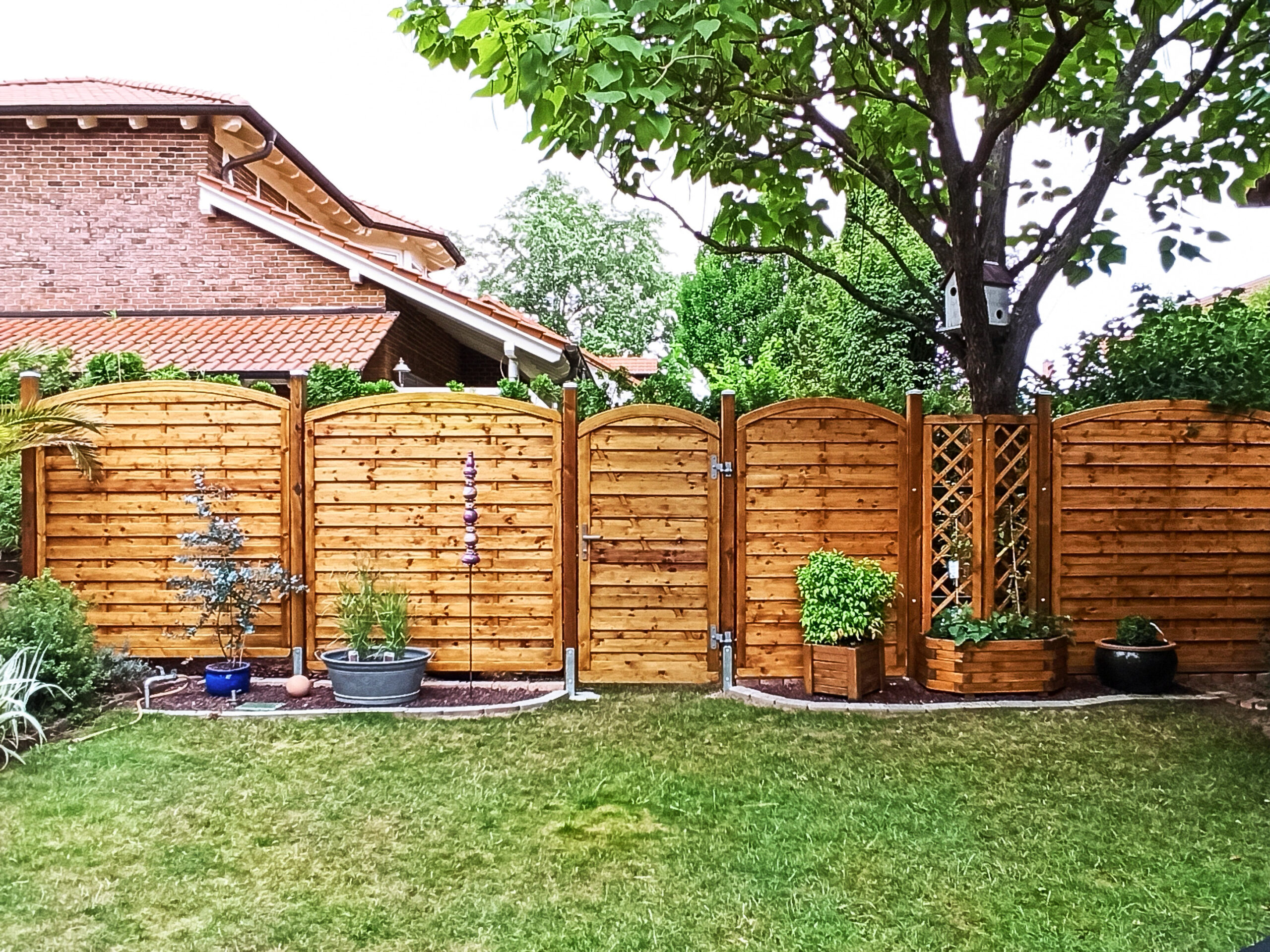 Holzzaun mit Tor und Gitterelement, umgeben von Pflanzen und Bäumen in einem Garten.