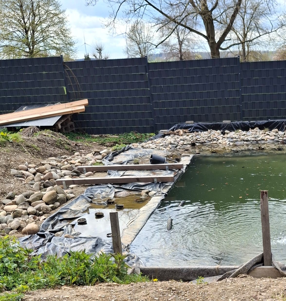 Bau eines Gartenteichs mit Steinen und Planen, umgeben von einem Holzzaun und kahlen Bäumen.